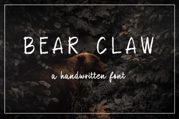 Bear Claw Font for Web Design