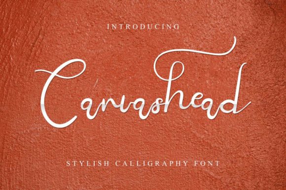 Canvashead: A Vintage Script Font