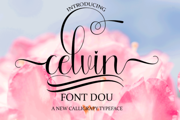 Celvin: A Script Font for Creative Makers