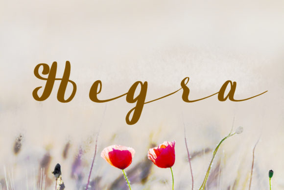 Hegra: A Flowing Script Font for Editorial Design