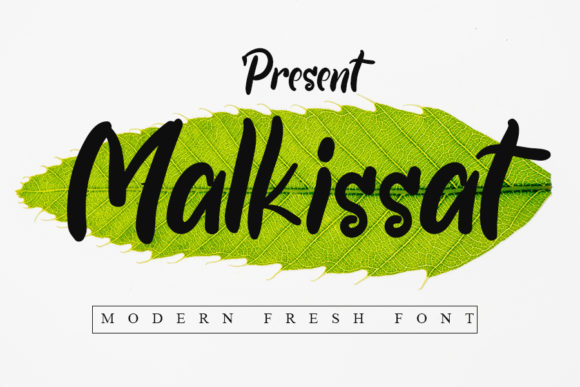 Malkissat: A Script Amp for Real Projects